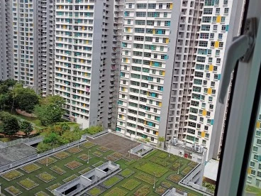 Property media