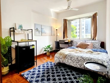 Property media