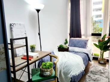 Property media