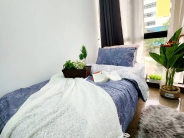 Property media