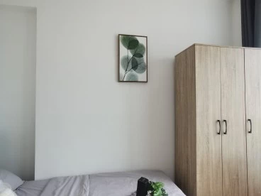 Property media