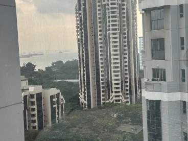 Property media