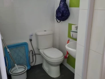 Property media