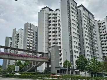 Property media