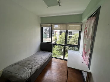 Property media