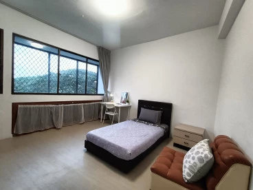 Property media