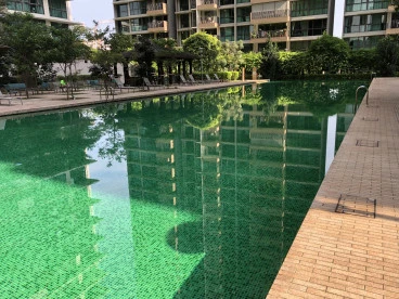 Property media