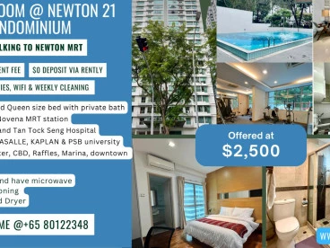 Property media