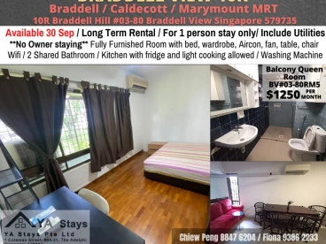 Property media