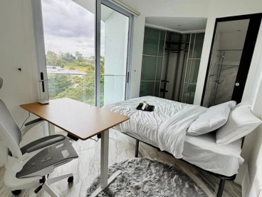 Property media