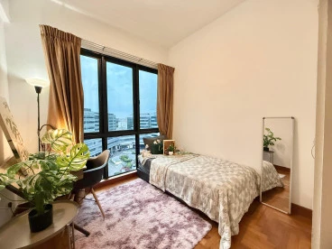 Property media