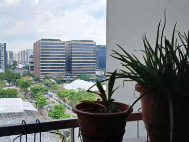 Property media