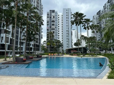 Property media