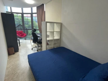 Property media