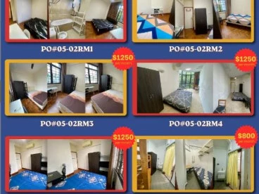 Property media