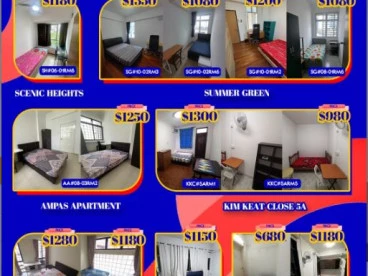 Property media