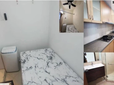 Property media