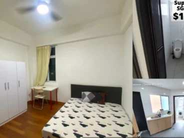Property media