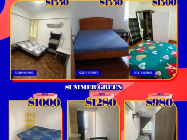 Property media