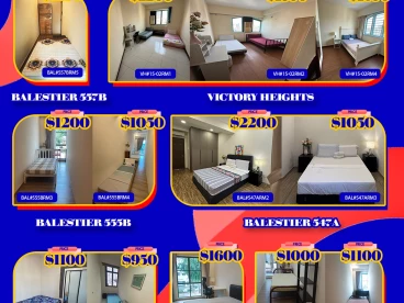Property media