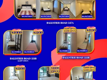 Property media