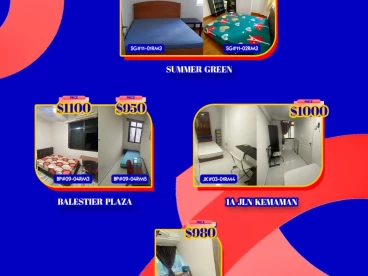 Property media