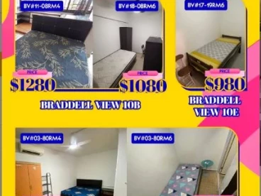 Property media