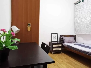 Property media