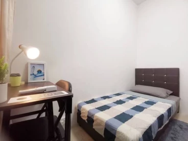 Property media