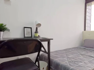 Property media