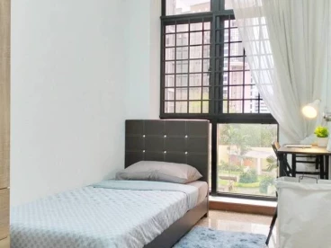 Property media