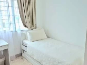 Property media