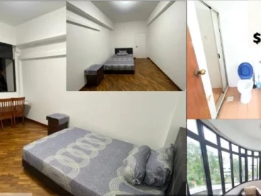 Property media