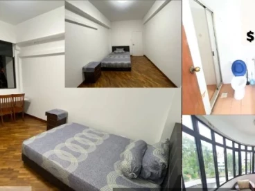 Property media