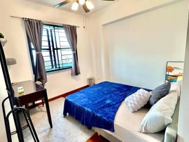 Property media