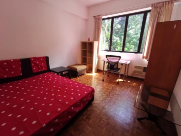 Property media
