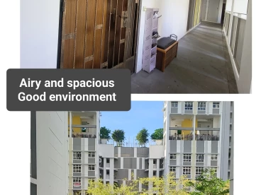 Property media