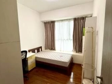 Property media
