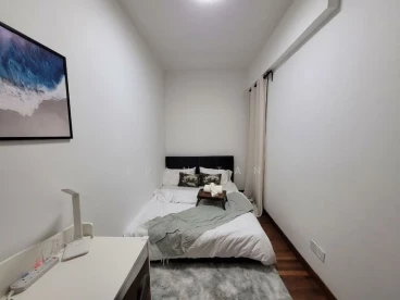 Property media