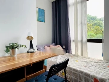 Property media