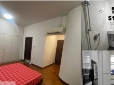 Property media
