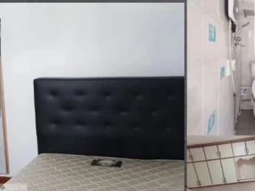 Property media