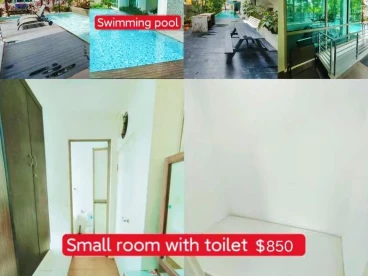 Property media