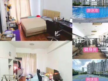 Property media