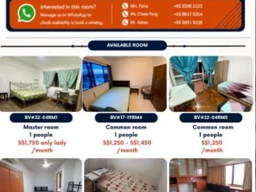 Property media