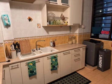 Property media