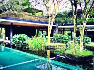 Property media