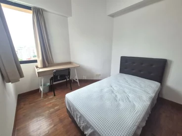 Property media