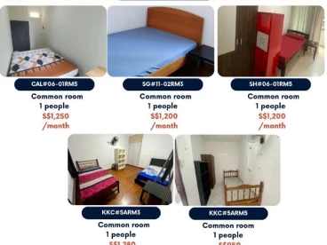Property media