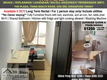 Property media